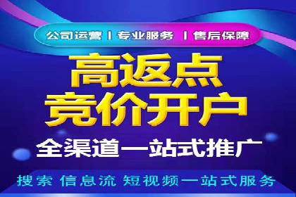 SEO技术突破：某网站流量暴增的背后故事